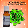 Melem za kondilome